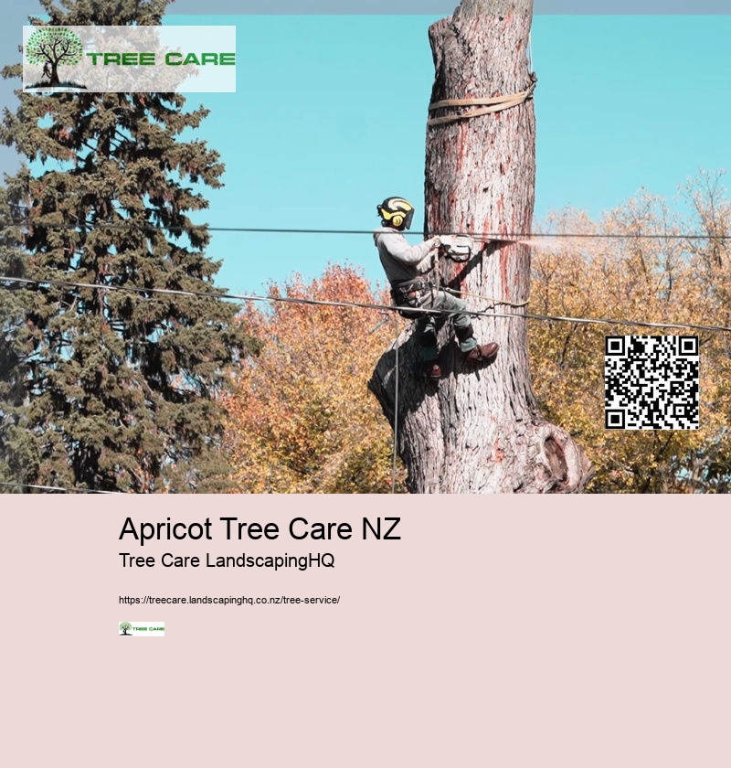 Tree Trimming Lower Hutt