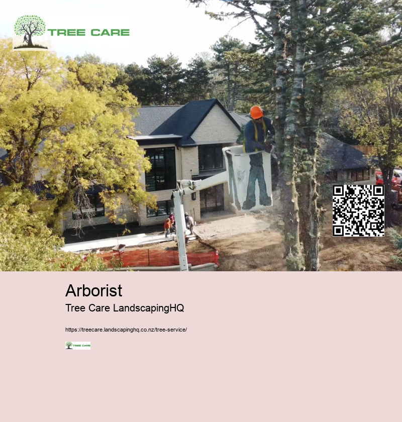 Arborists Nelson NZ