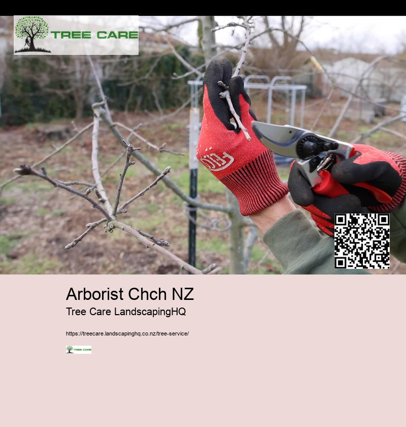 Tree Care NZ