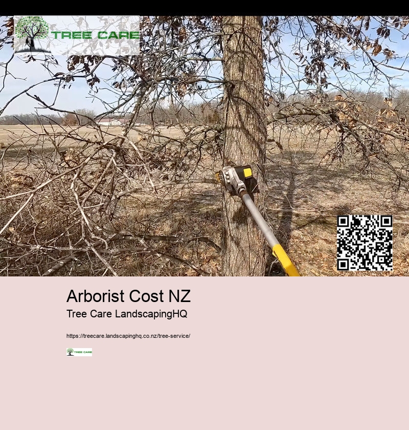 Arborist Cost NZ