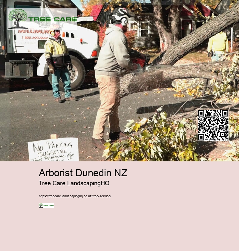 Dunedin Tree Care