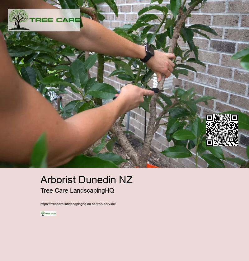 NZ Arborist