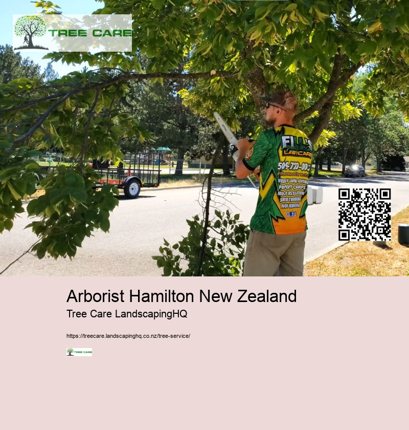 Tree Pruning Hamilton NZ