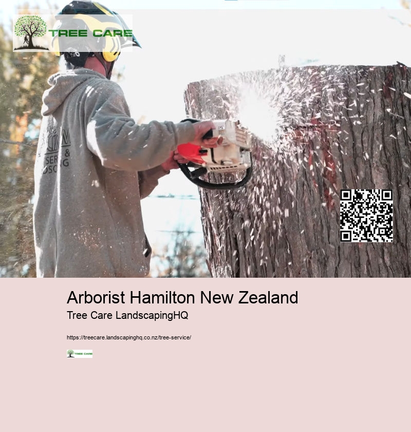 Arborist Whakatane