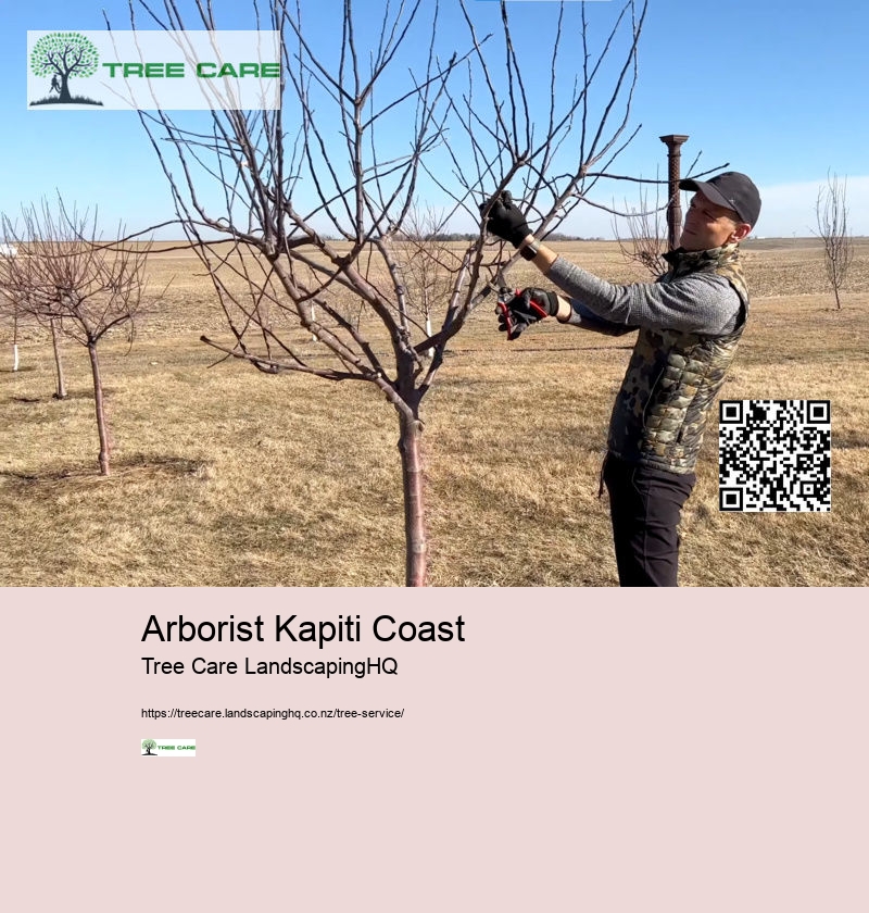 Arborist Kapiti Coast