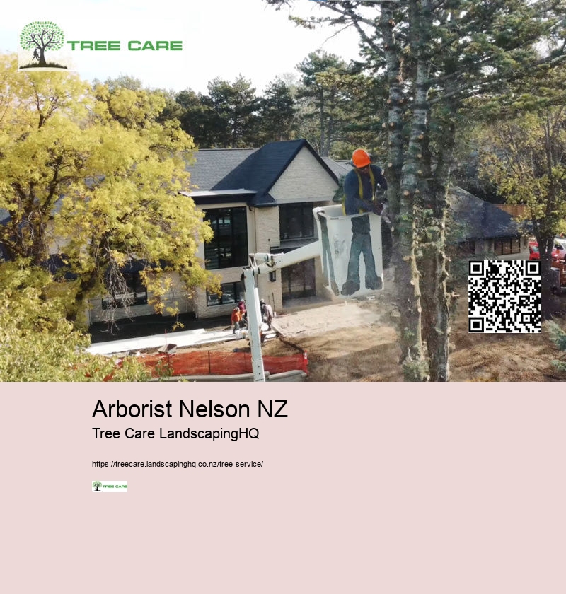 Arborist Cost Per Hour NZ