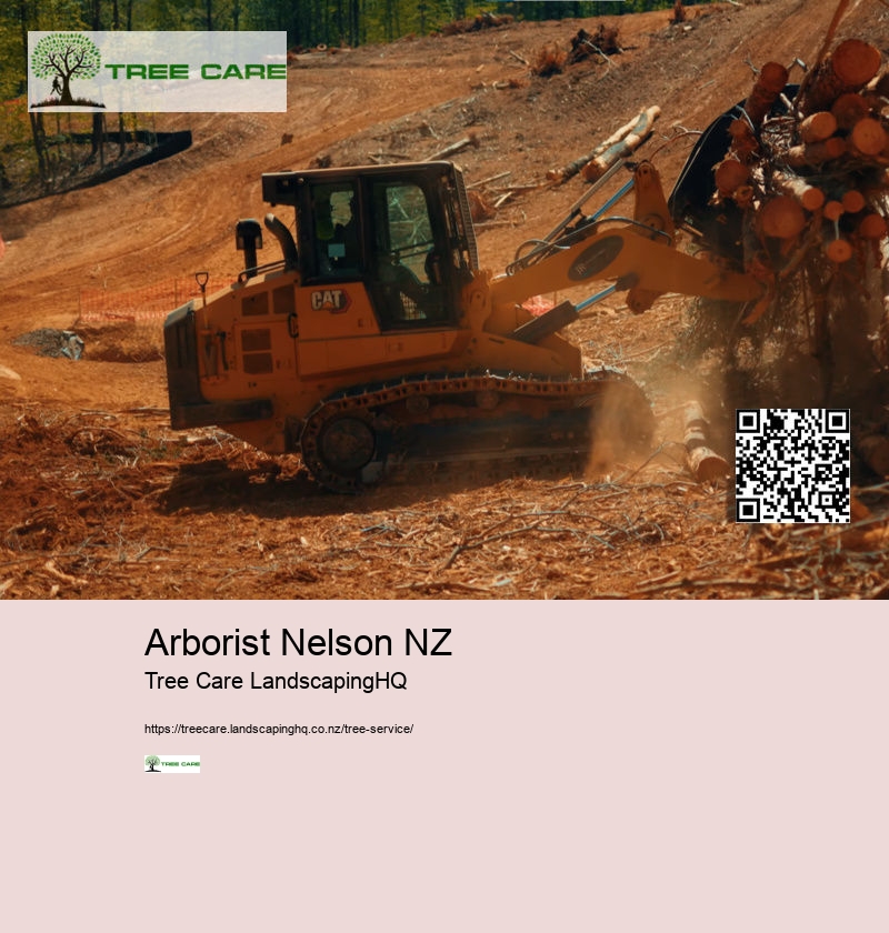 Arborist East Auckland