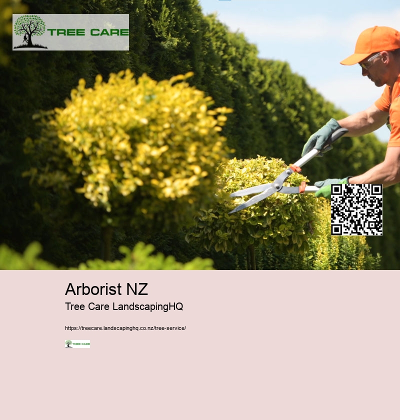 Tree Removal Whakatane