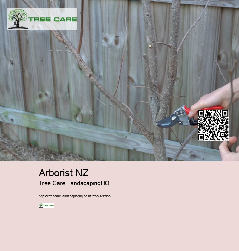 Tree Care Southern Lakes