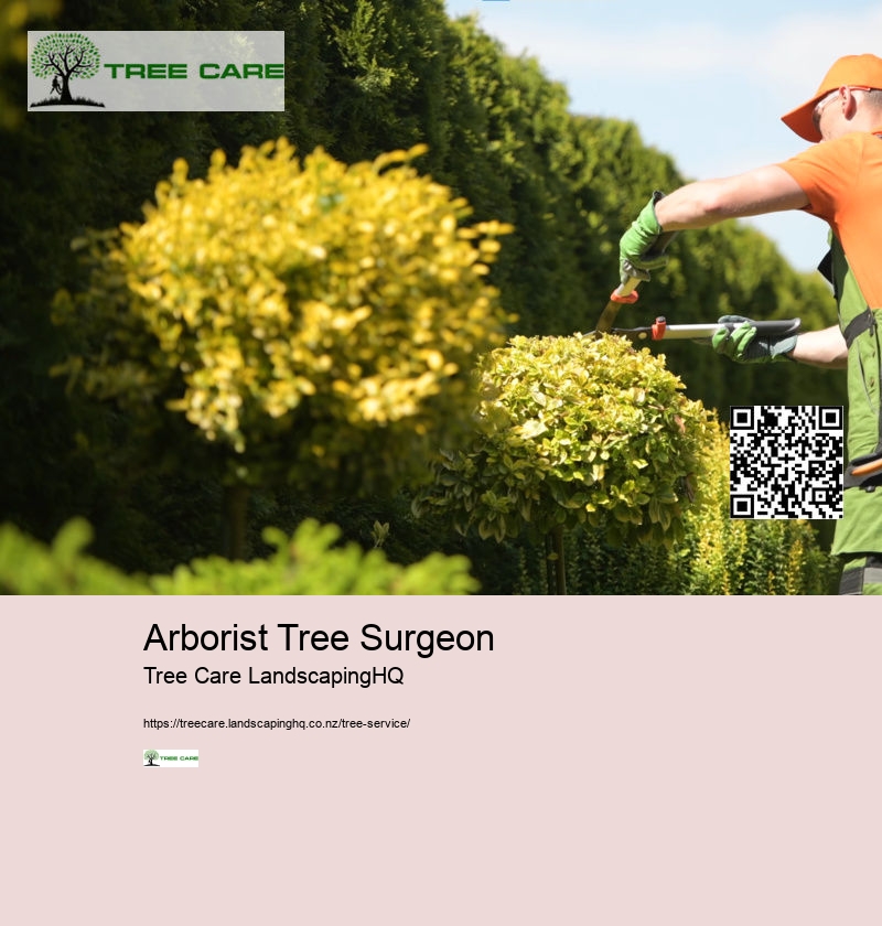 Hawkes Bay Tree Surgeons