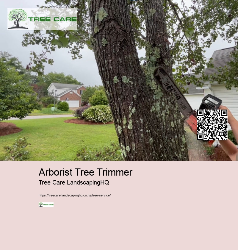 Arborist Auckland North Shore