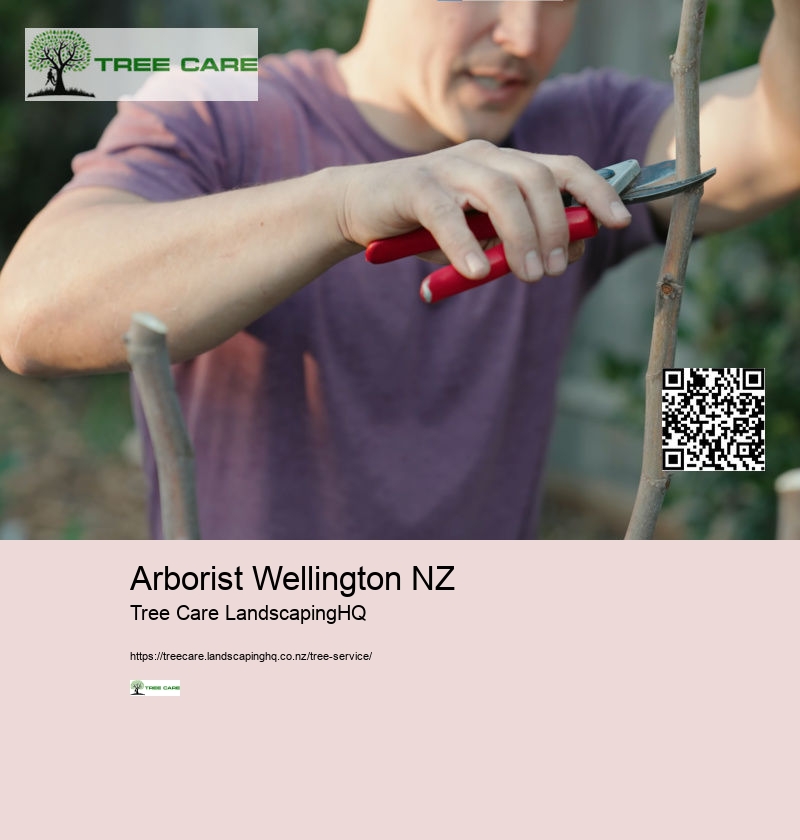 Arborist Wellington NZ