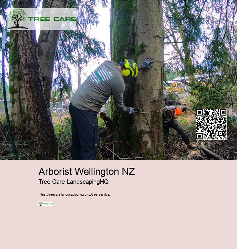 Arborist Company New Zealand