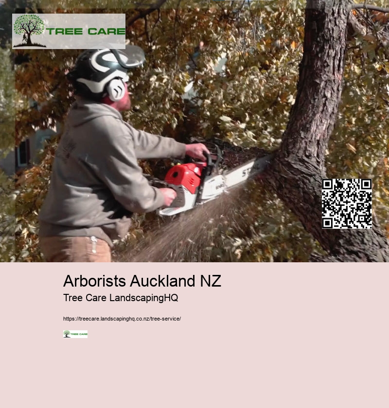 Arborist Whangarei