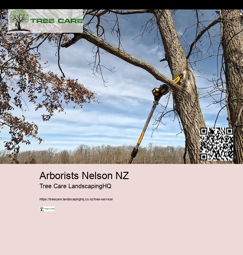 Arborists Nelson NZ