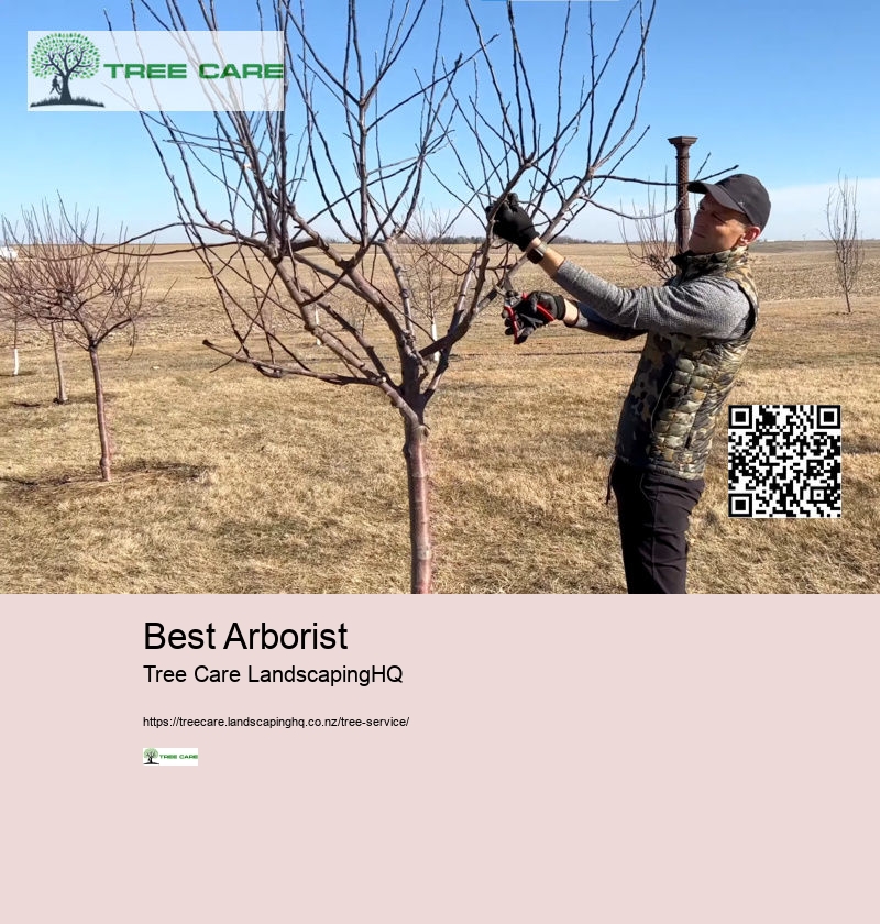 Best Arborist