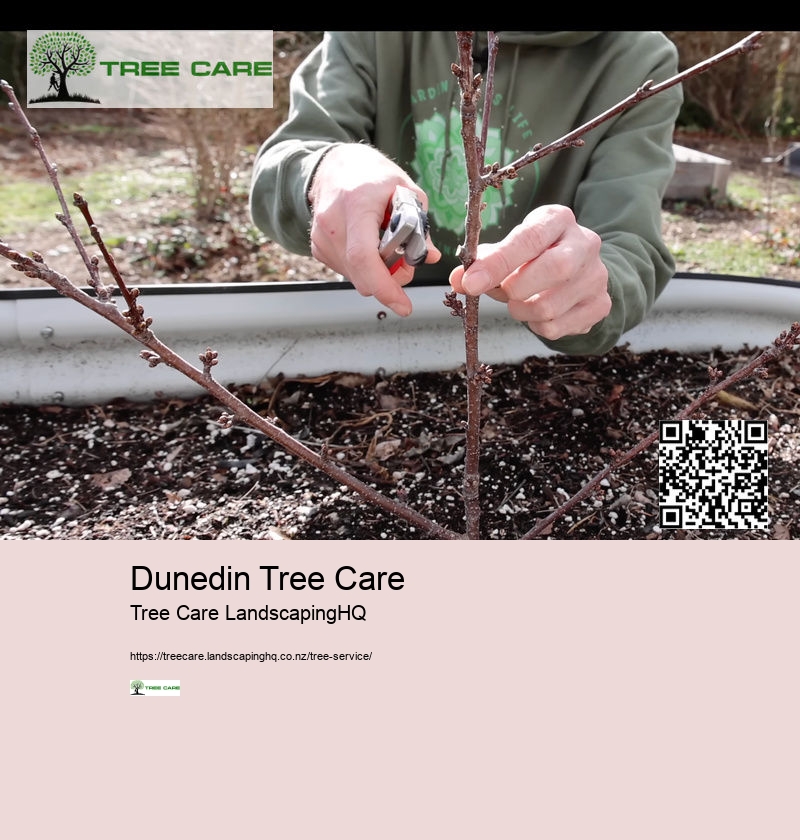 Tree Services West Auckland