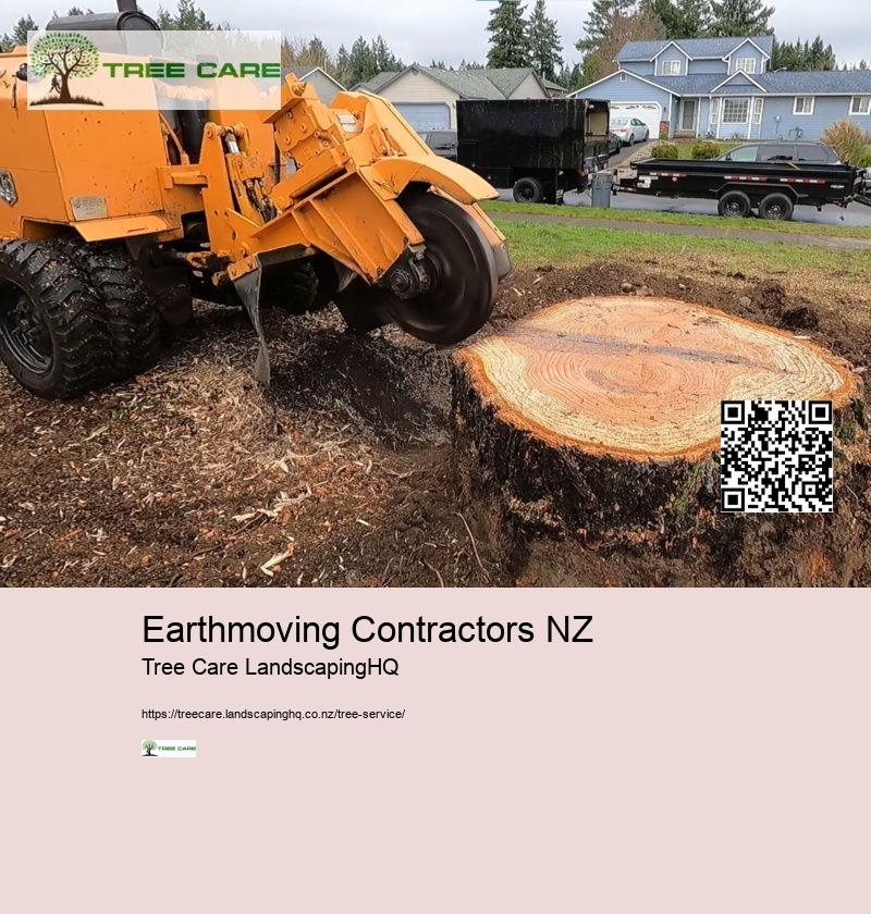 Earthmoving Contractors NZ