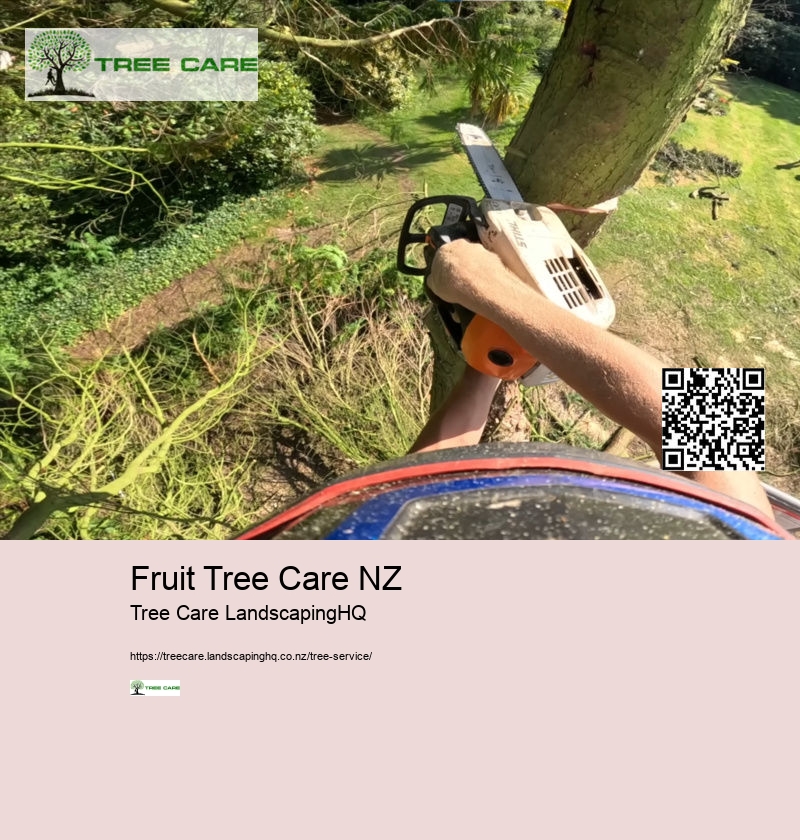 Tree Trimming And Pruning NZ