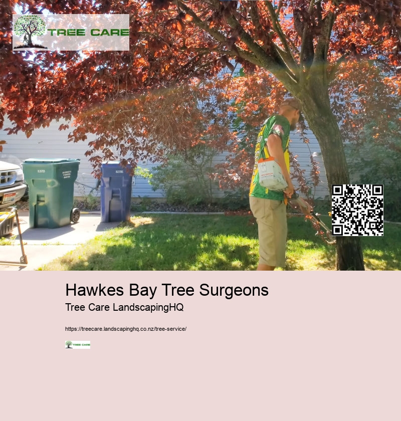 Hawkes Bay Tree Surgeons