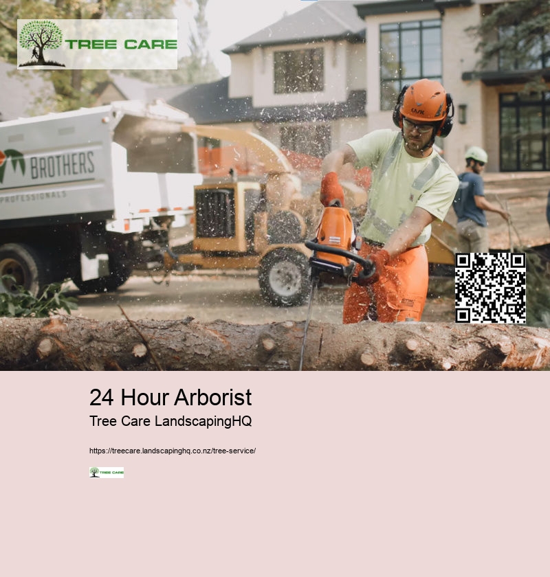 24 Hour Arborist