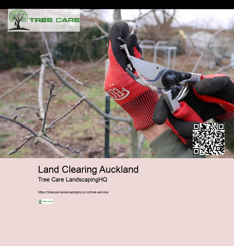 Land Clearing Auckland