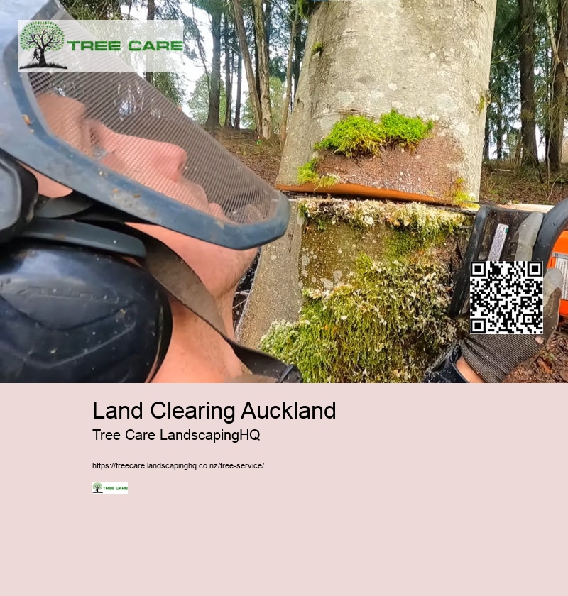 Stump Grinding West Auckland