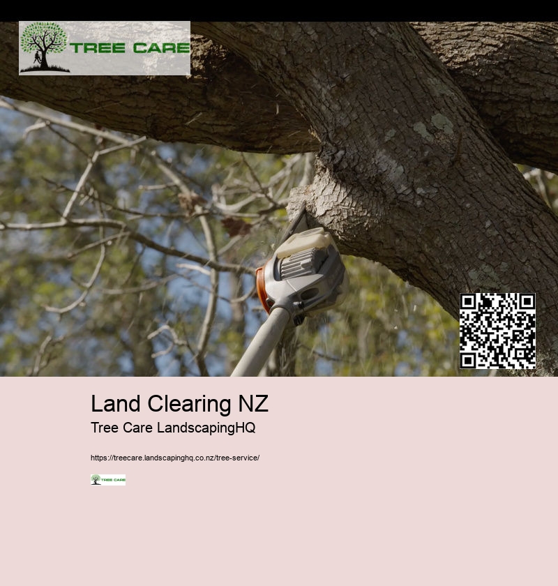 Arborist In Nelson NZ