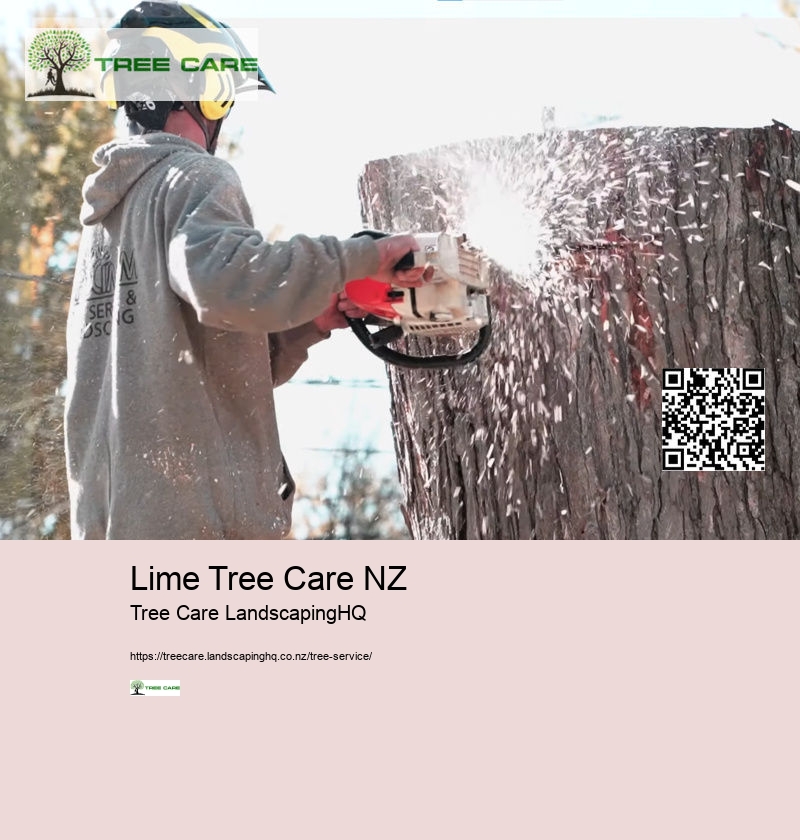 Tree Service Auckland