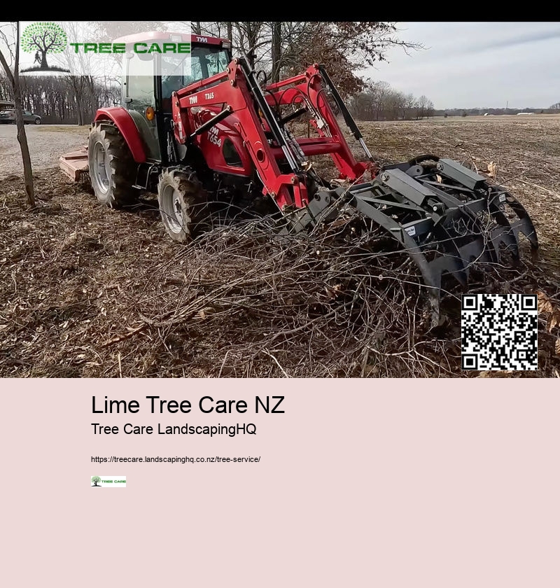 Tree Removal Whakatane