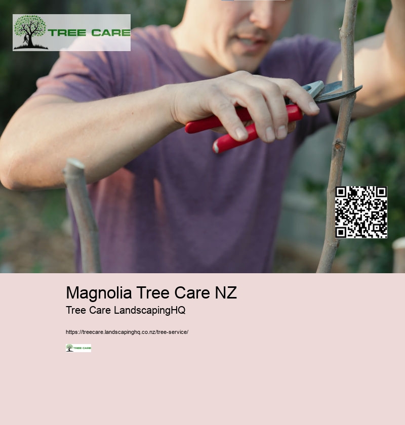 Magnolia Tree Care NZ