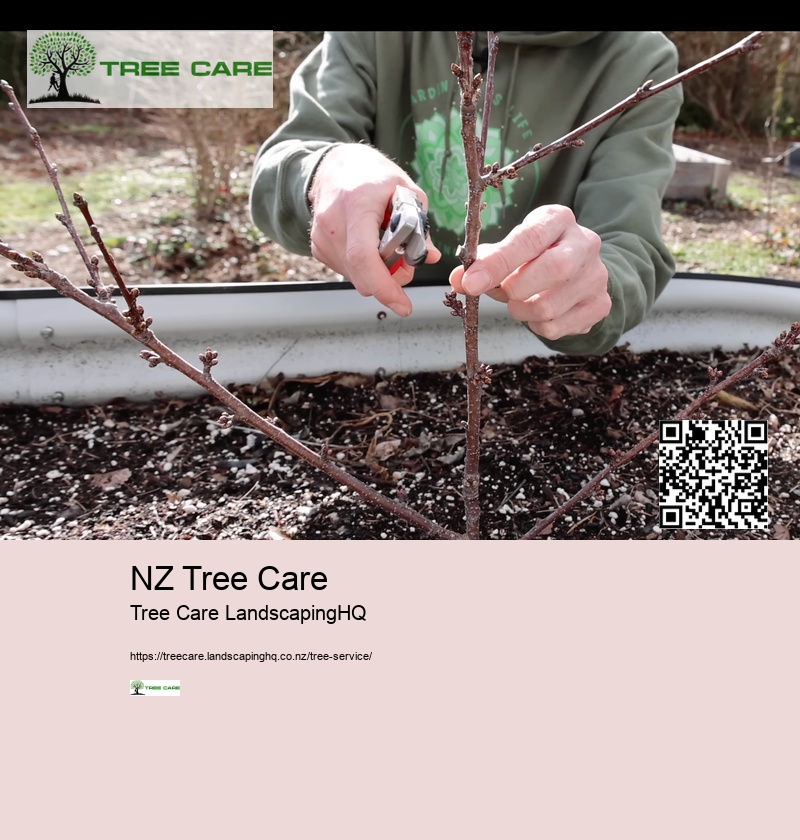 Tree Services Whangarei