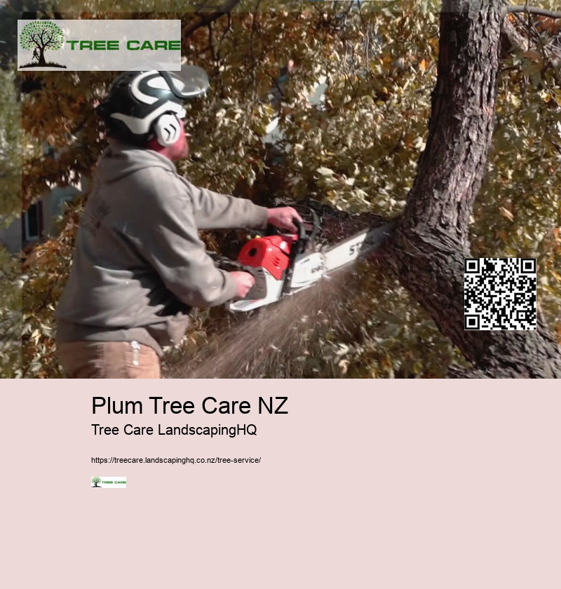 Tree Trimming And Shaping NZ