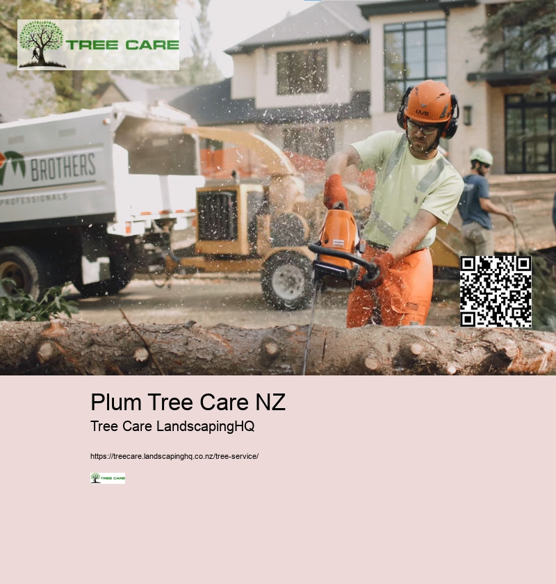 Tree Service East Auckland