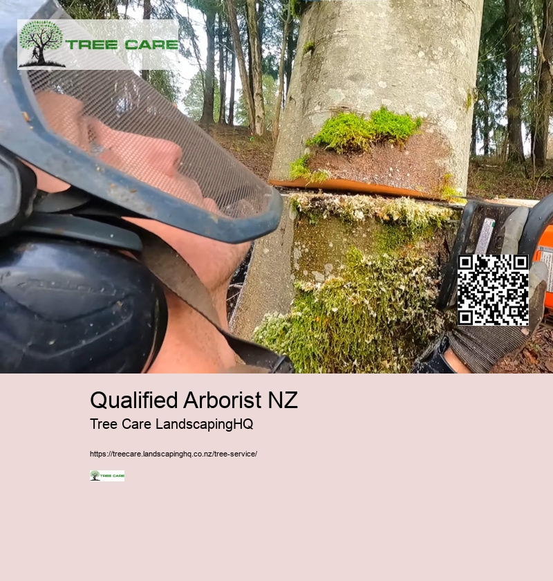 Qualified Arborist NZ