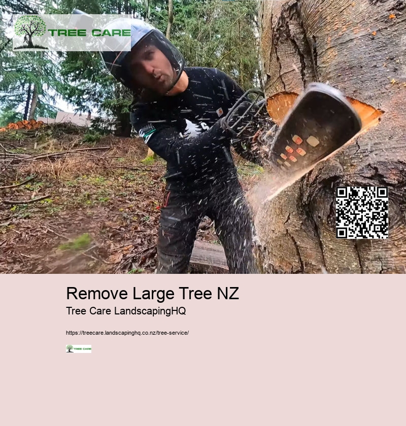 Arborist For Tree Removal