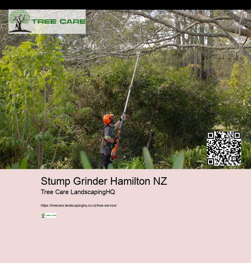 Stump Grinder Hamilton NZ