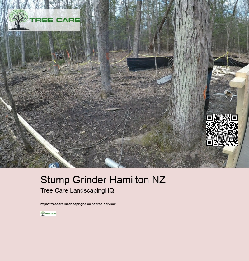 Tree Services Tauranga