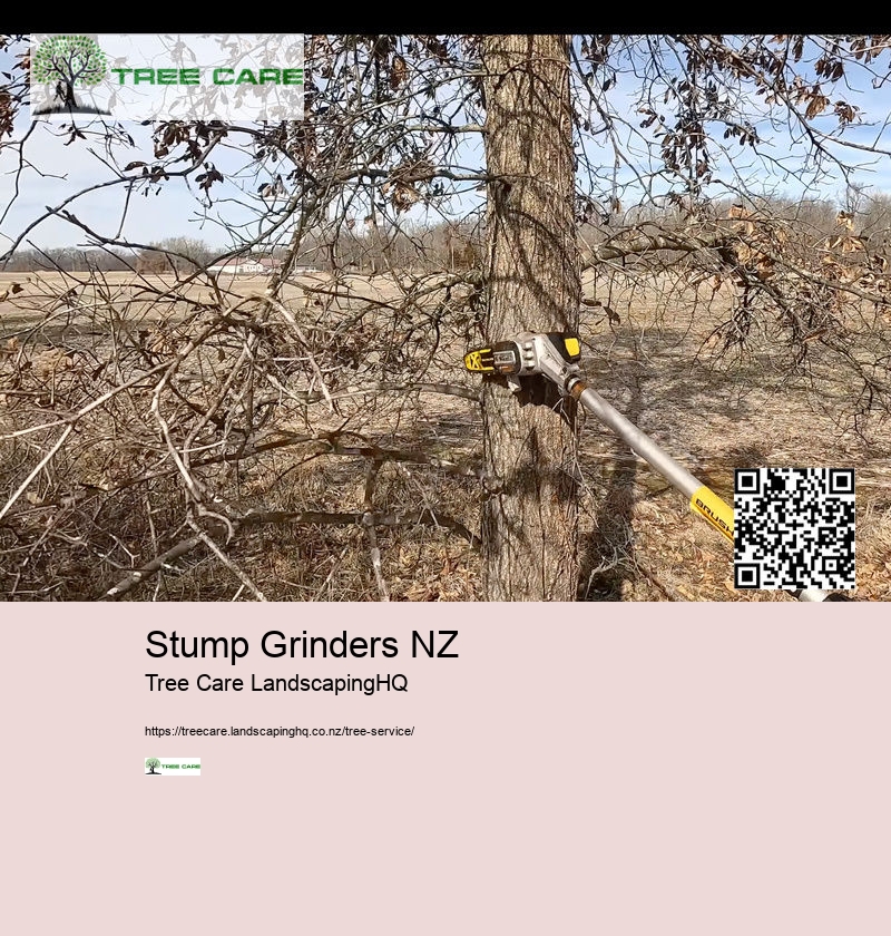 Arborists Nelson NZ