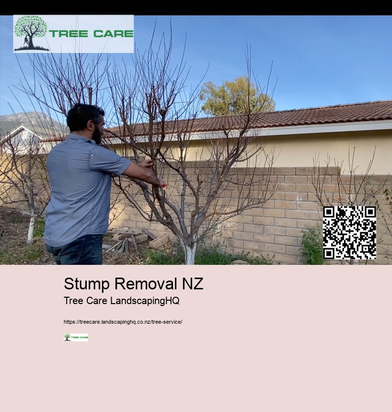 Arborist Hastings NZ