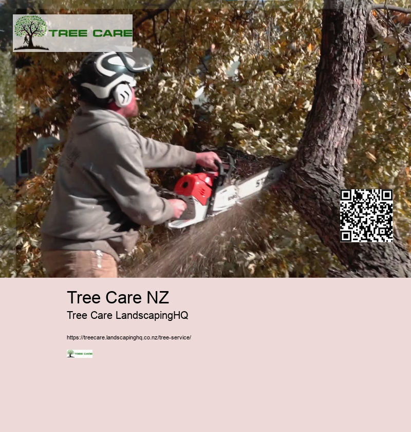 Tree Trimming New Plymouth