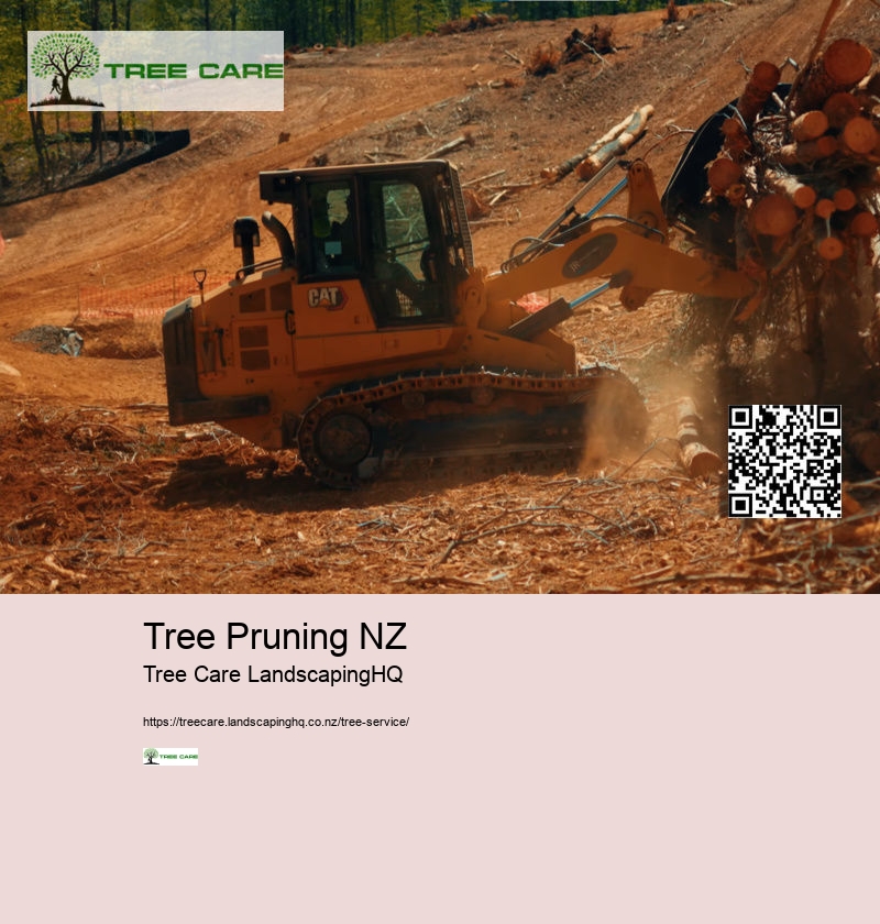 Tree Pruning Hamilton NZ