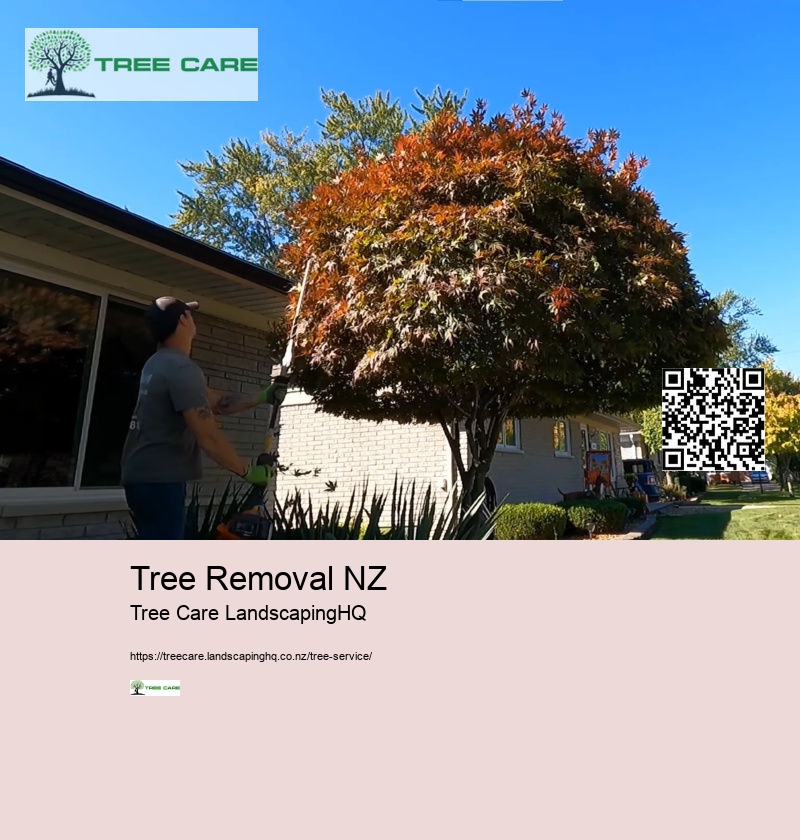 Tree Trimming Tauranga