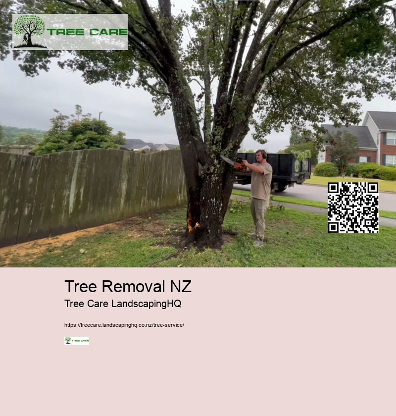 Tree Removal NZ