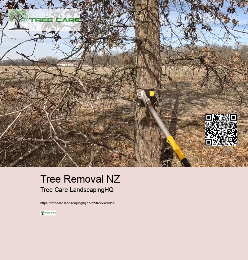 Tree Removal NZ