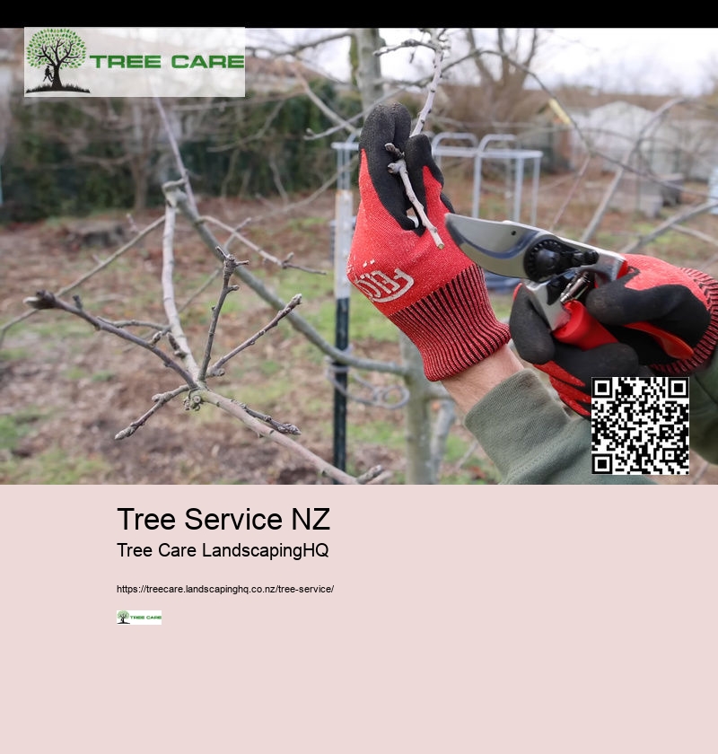 Tree Trimming And Pruning NZ