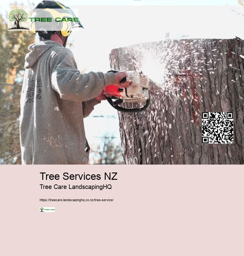 Tree Arborist Tauranga