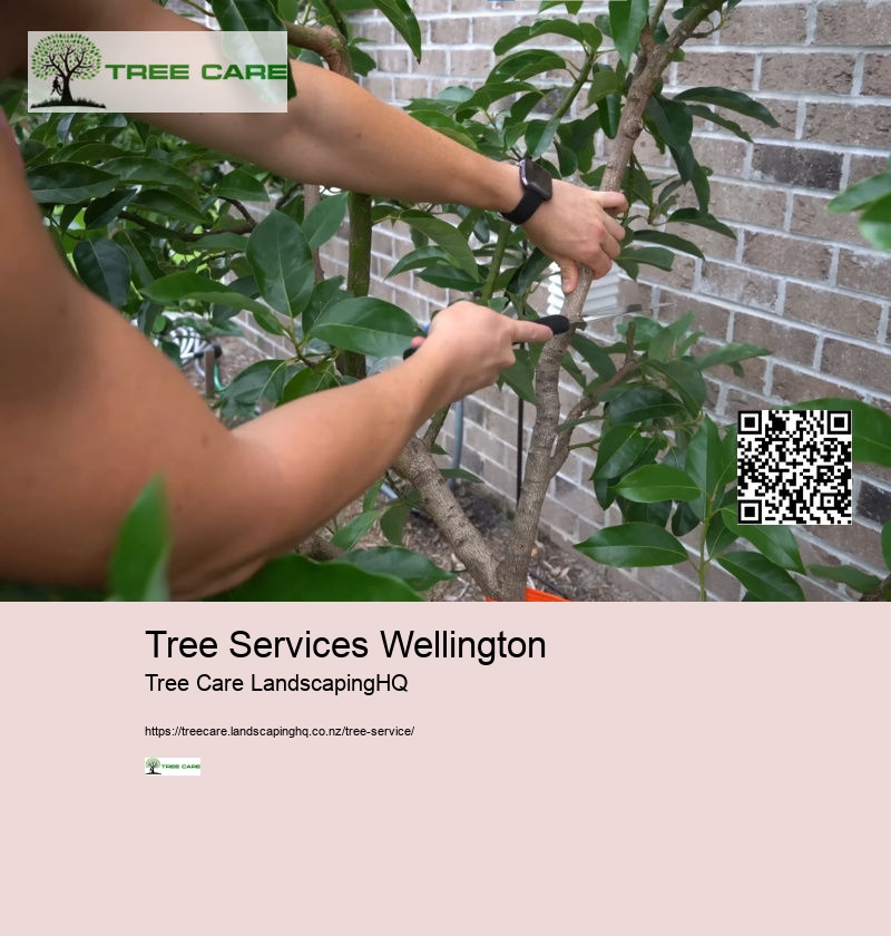 Tree Services Rotorua