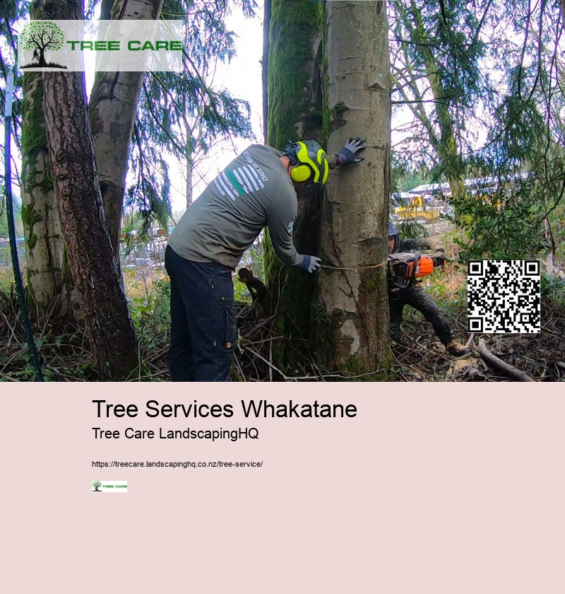 Tree Services Whakatane