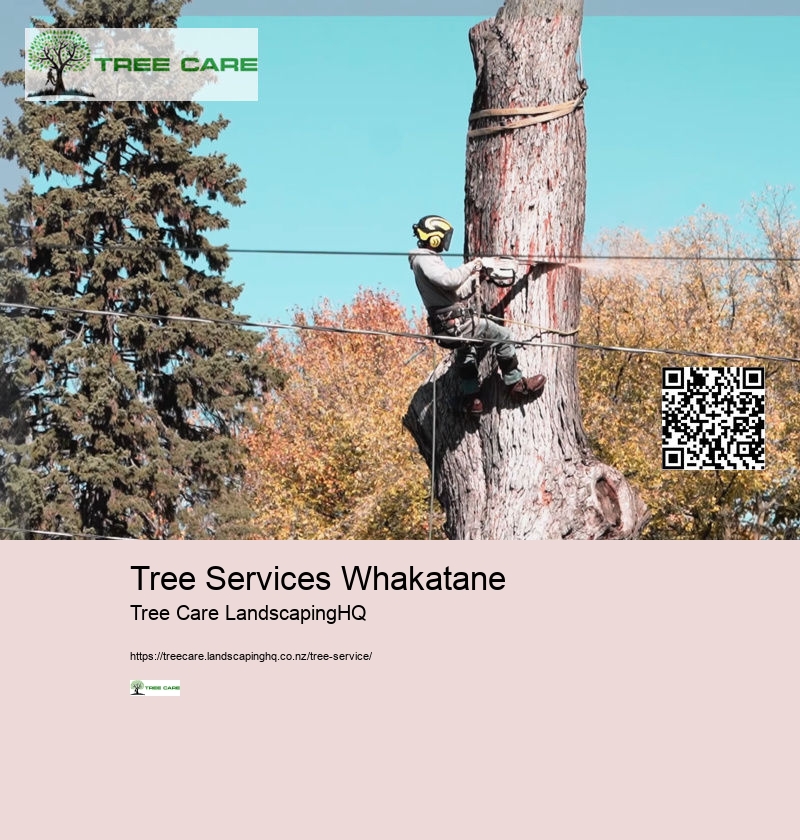 Tree Removal Napier